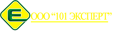 101 Эксперт